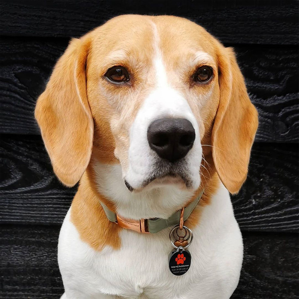 Pet QR Smart QR-tag - Black + 1 Year Cloud