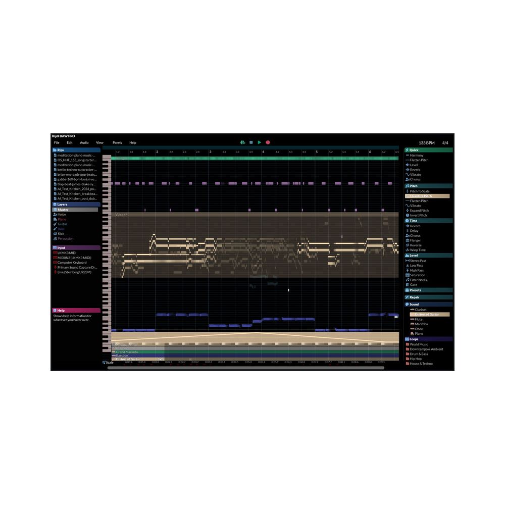 Hit'n'Mix RipX DAW Pro – Thomann Ireland