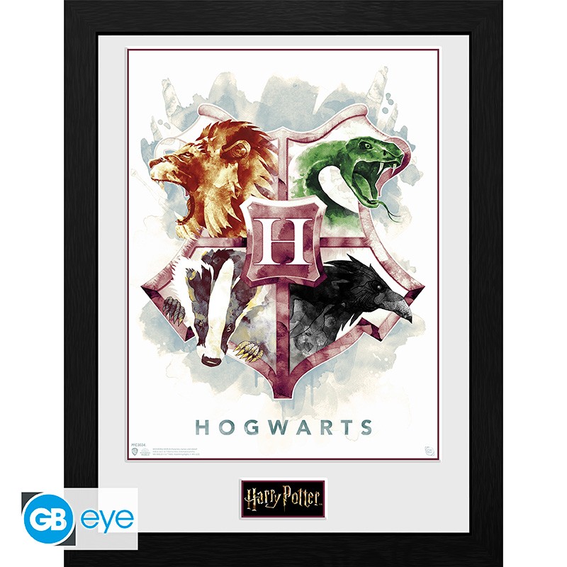 HARRY POTTER Framed print Hogwarts Water Colour