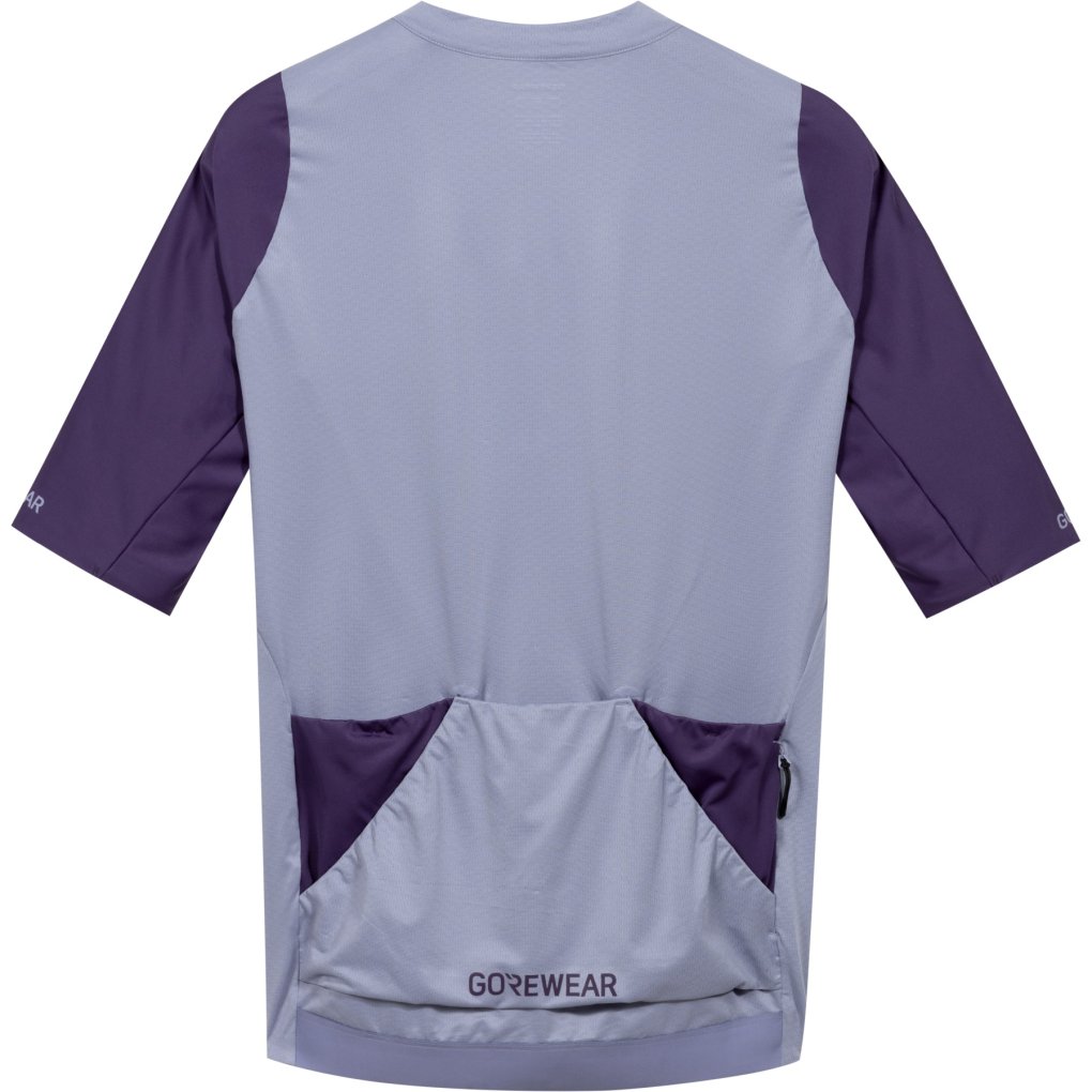 GOREWEAR Distance 2.0 Jersey Men - amethyst grey / purple indigo DFDE