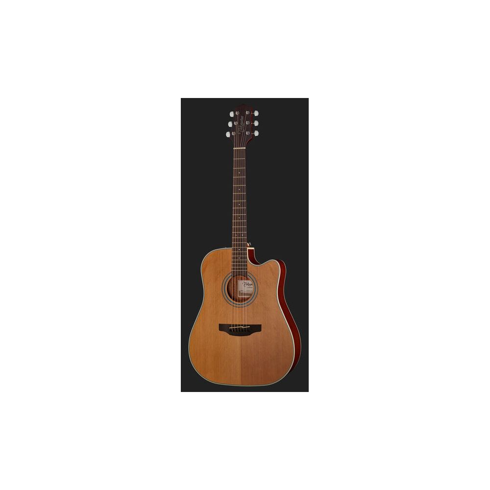 Takamine GD20CE