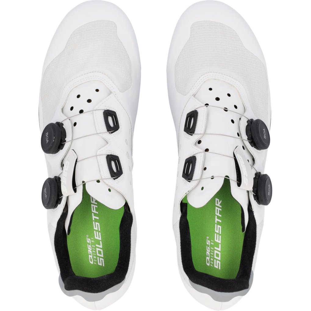 Q36.5 Gregarius Road Shoes - white