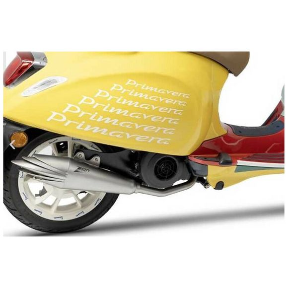 Zard Complete Line stainless steel tipRef: Zad00637A / Zpg004S00Ssr-Std