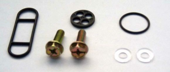 Kit Reconditioning fuel valve Tour Max Ref: TRM00715A / 1055475