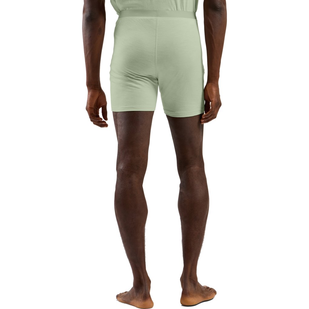 Odlo Natural Merino 160 Boxers Men - ambrosia
