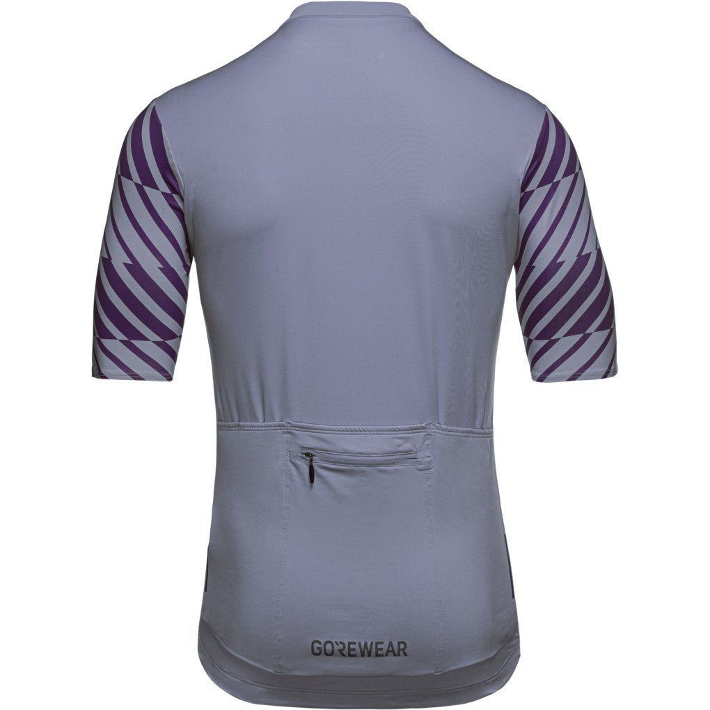 GOREWEAR Swiftride Optical Short Sleeve Jersey Men - amethyst grey / purple indigo DFDE