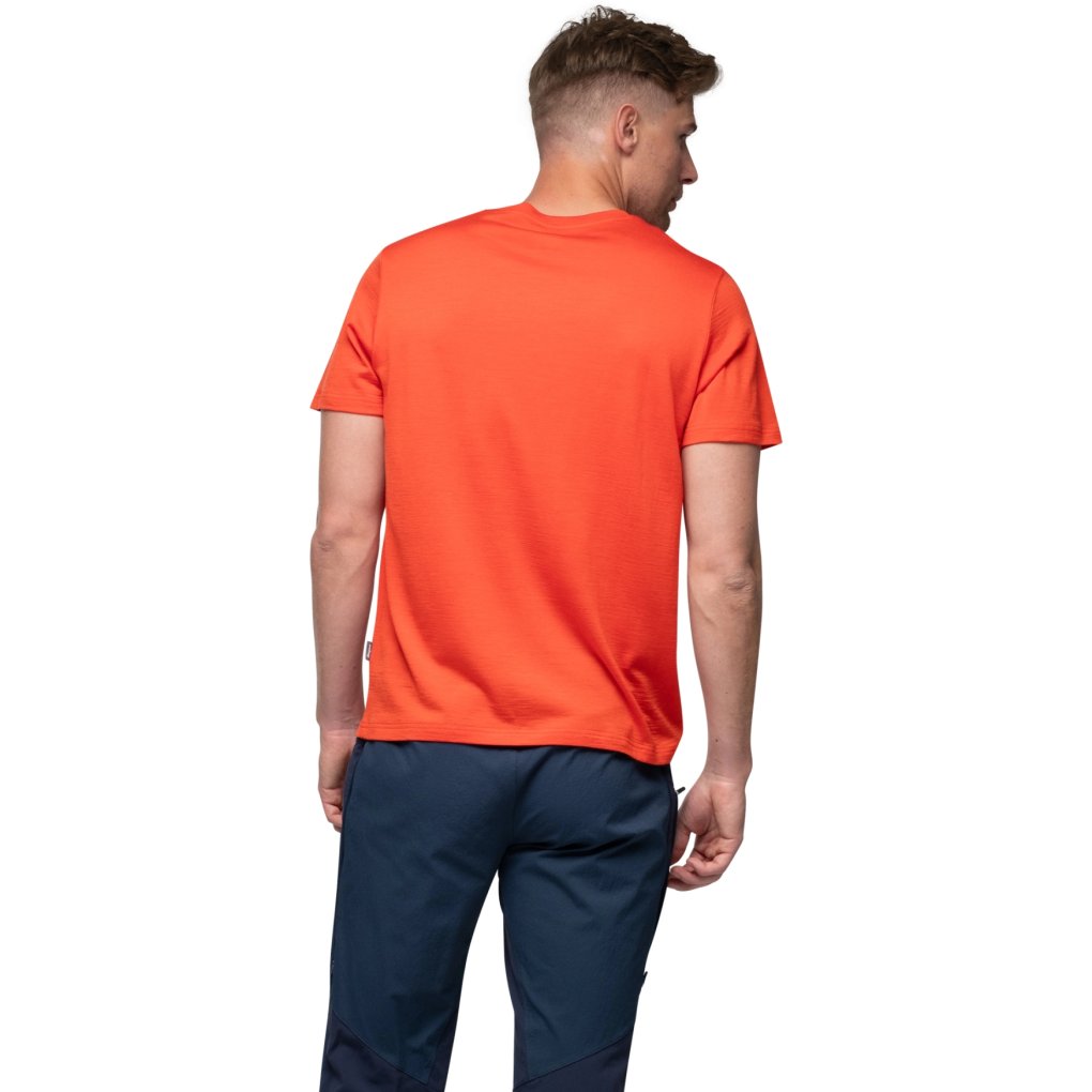 Bergans Rabot Emblem Wool Tee Men - lava
