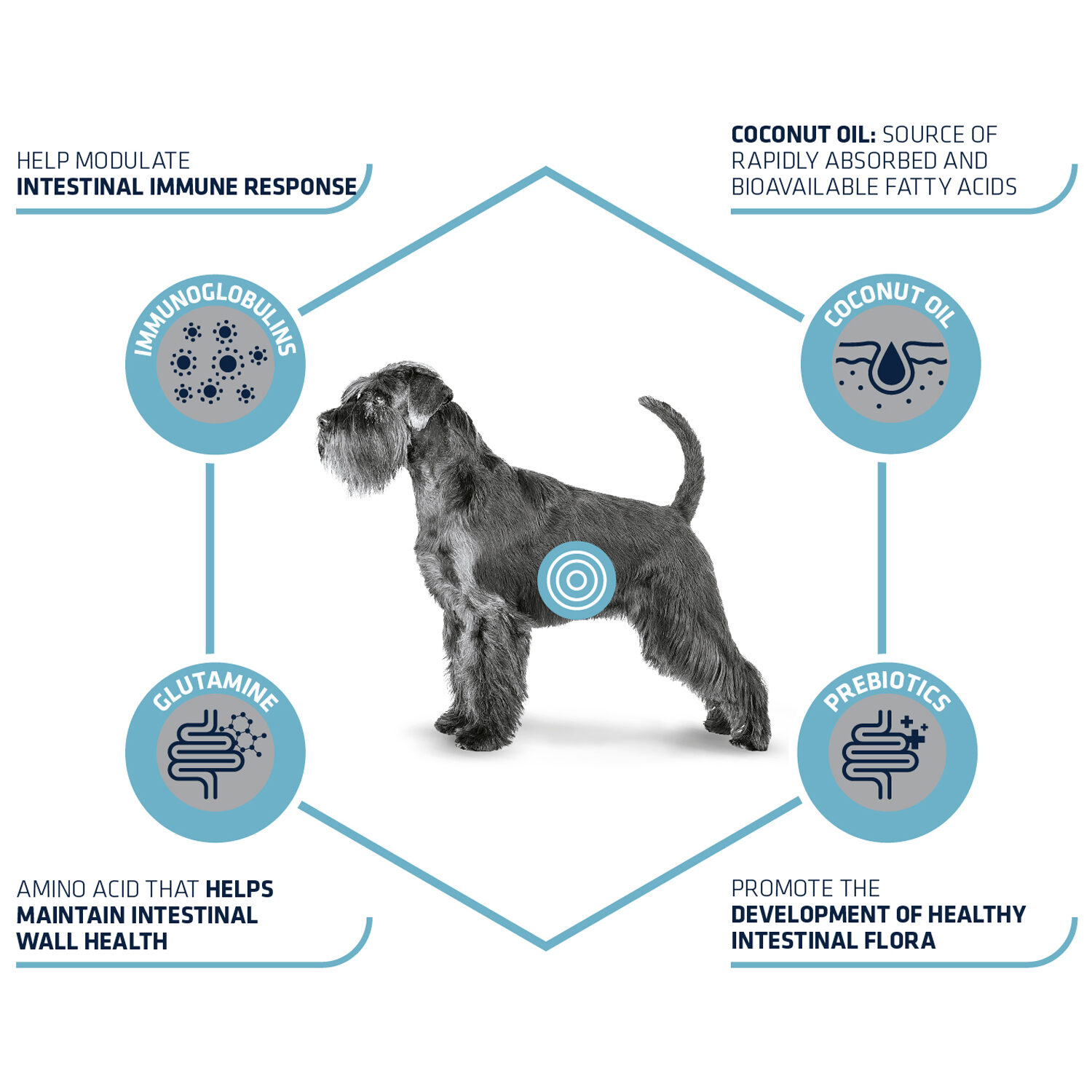 Affinity Advance Veterinary Diets Gastroenteric Dog - 12 kg