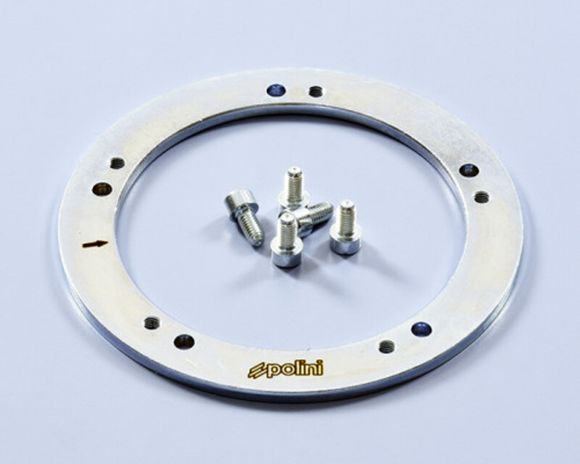 Variateur Polini Masse d'inertie de vilebrequin pleineRef : POL00233A / 1125942