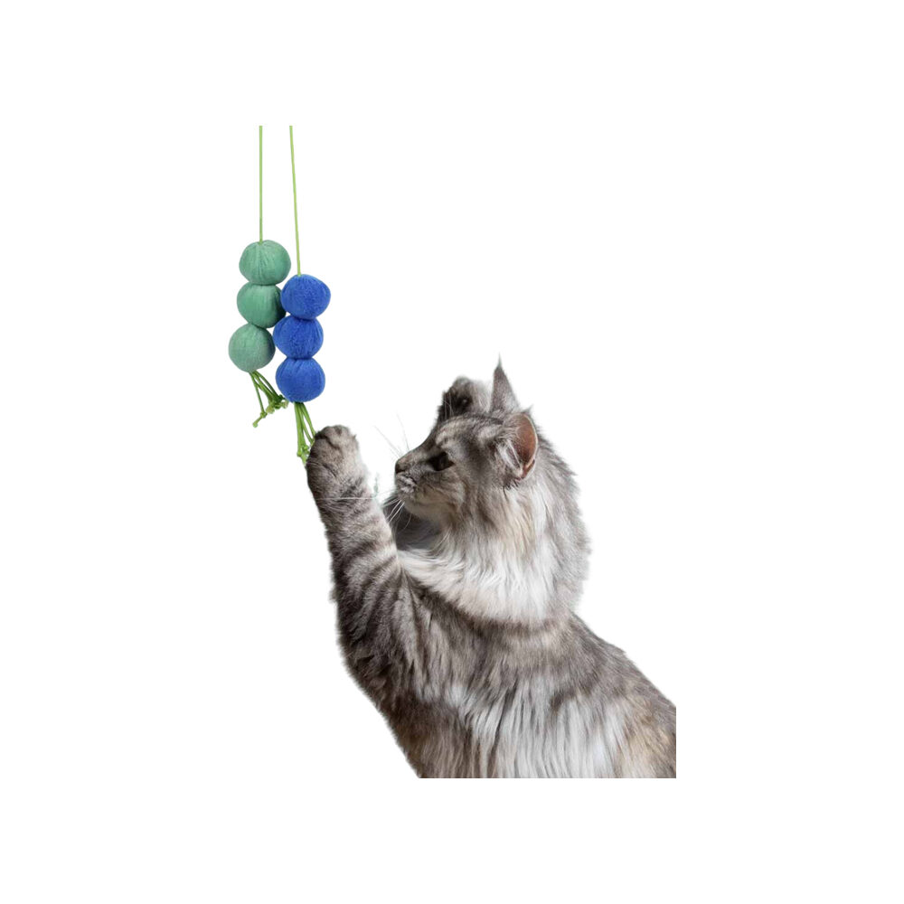 Coockoo Dizzy Dangle Cat Toy