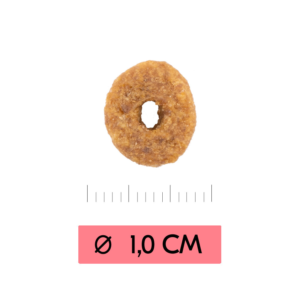 Vetality Adult Cat - 2 kg