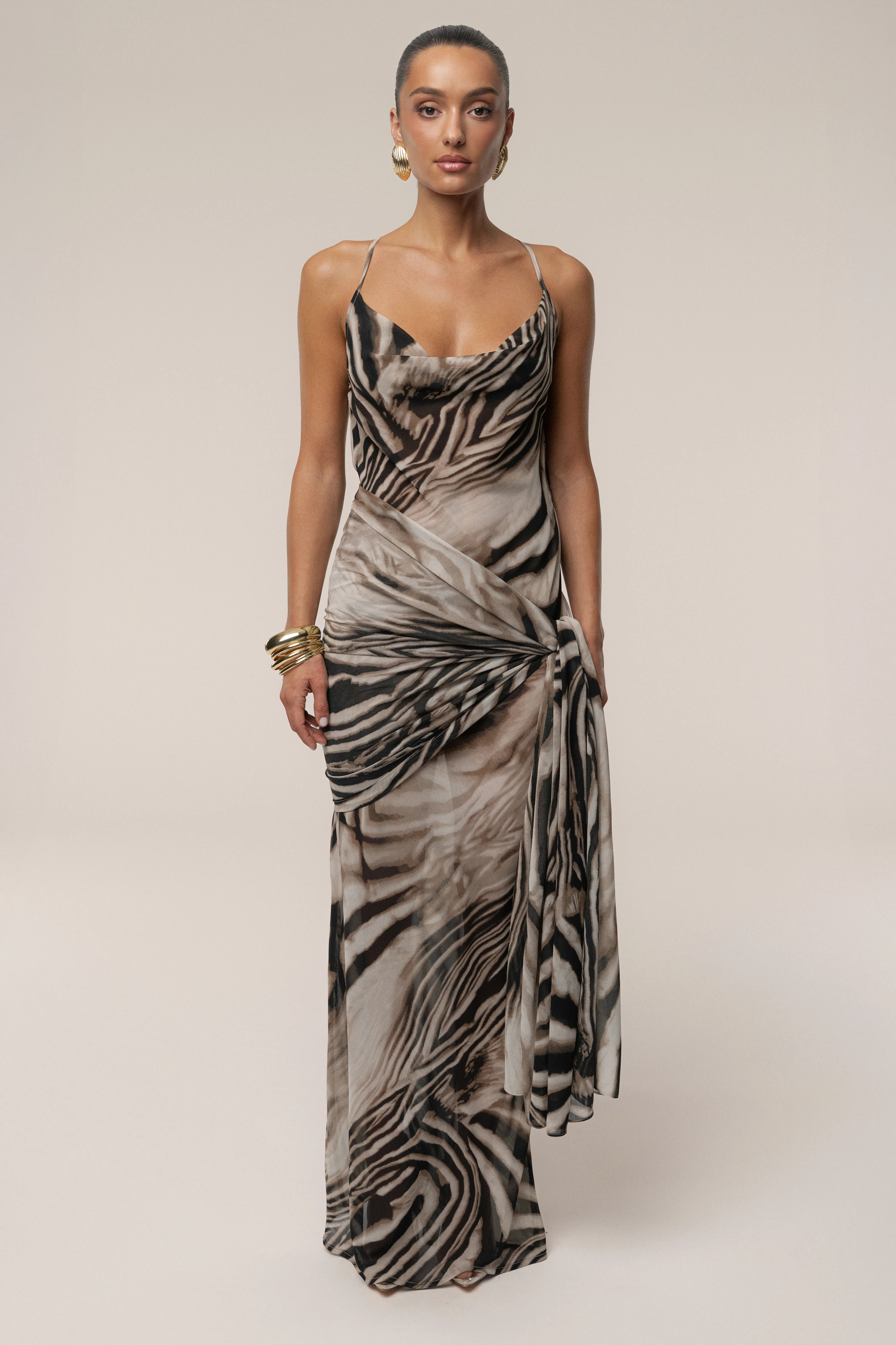 Brown Zebra Print Infinite Journey Maxi Dress