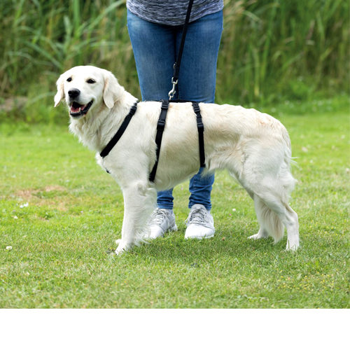 Trixie Stay Dog Harness - S / M
