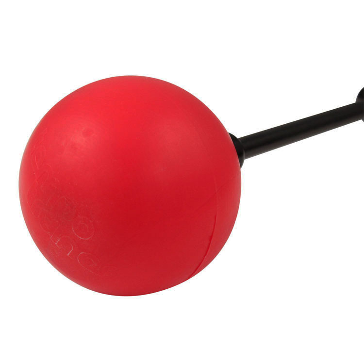 Masters Swing Tempo Trainer