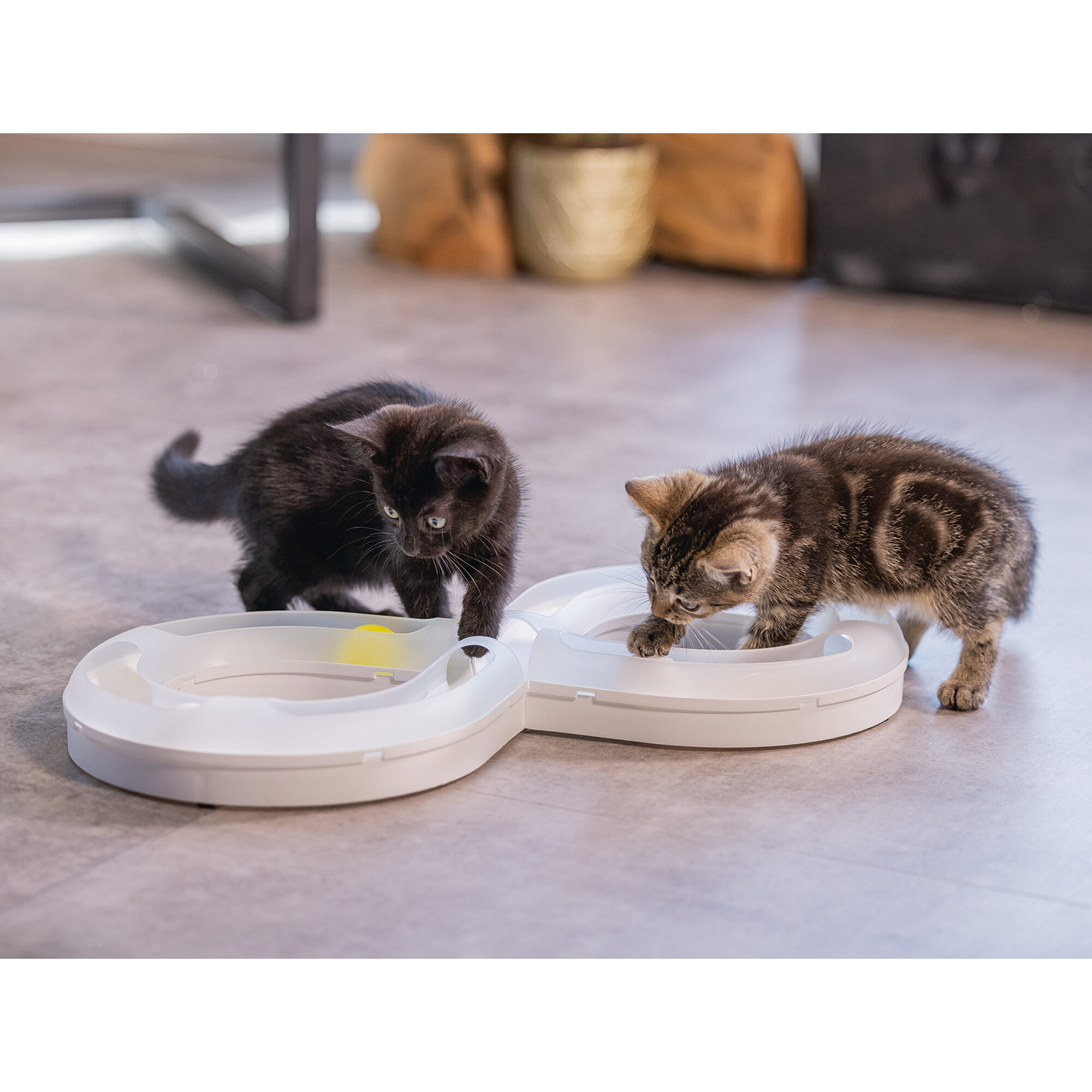 Beeztees kitten Play Rail Agty - White - 50 x 24 x 5 cm