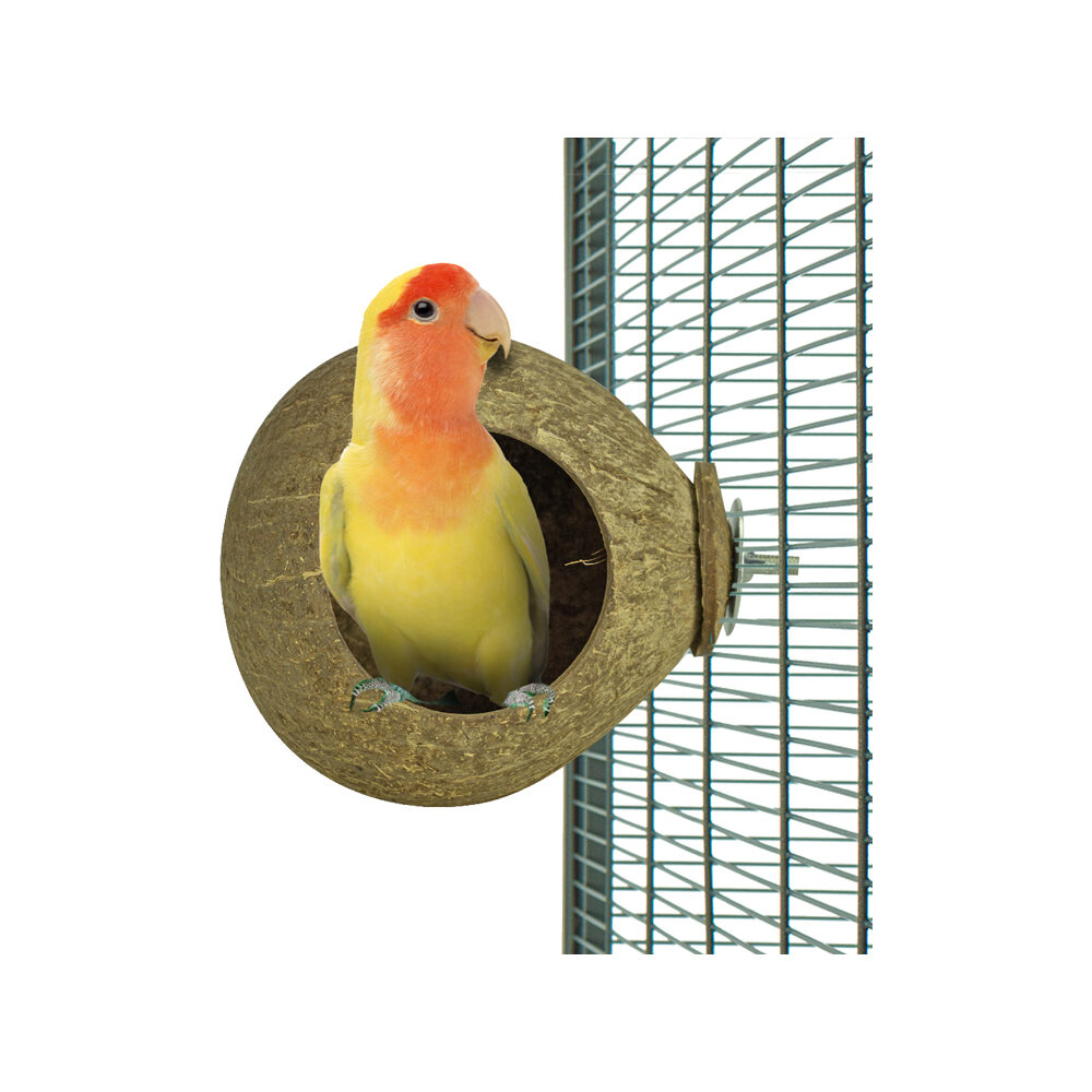 Back Zoo Nature Coconut House - 1 piece