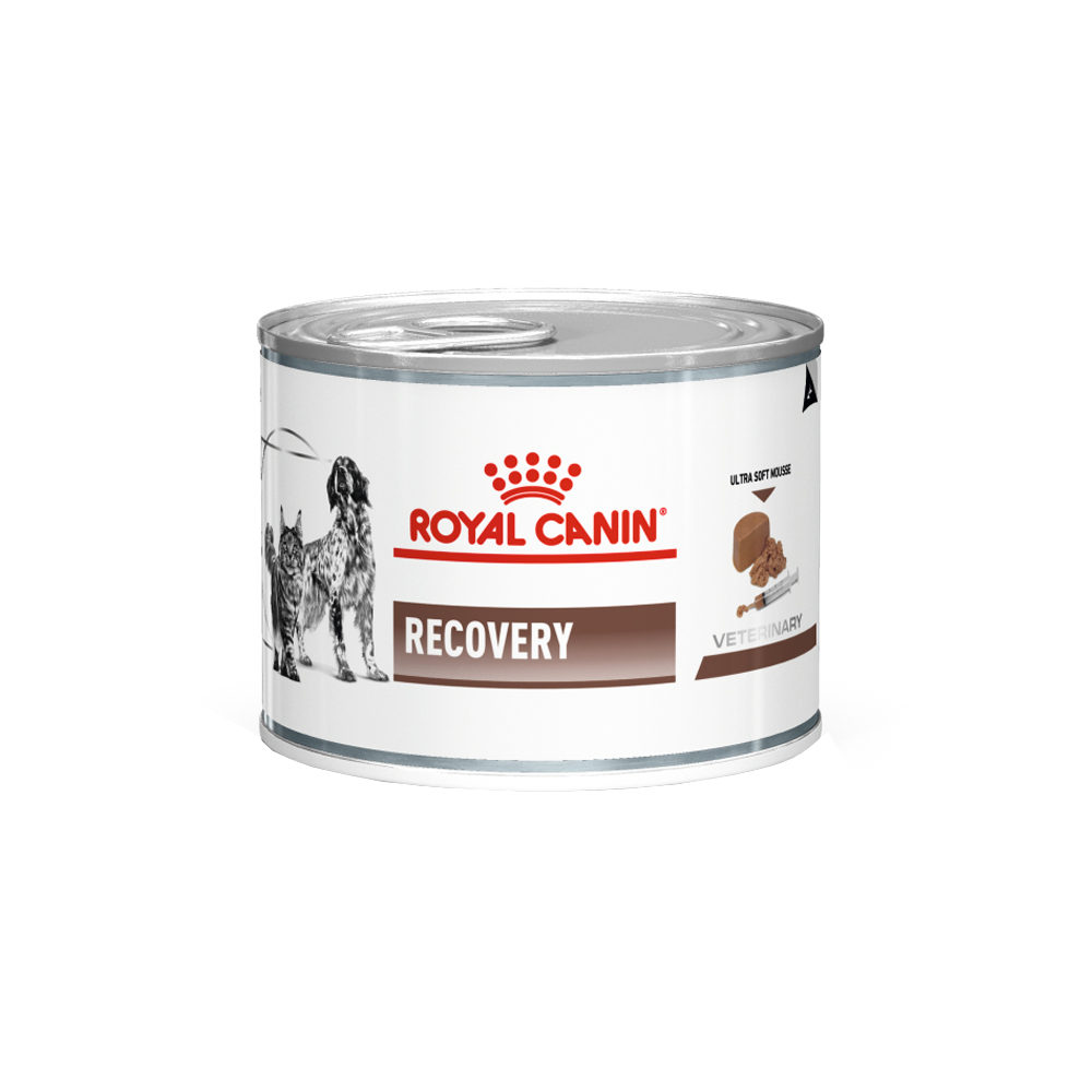 Royal Canine Recovery - Canine/Feline - 12 x 195g Tins