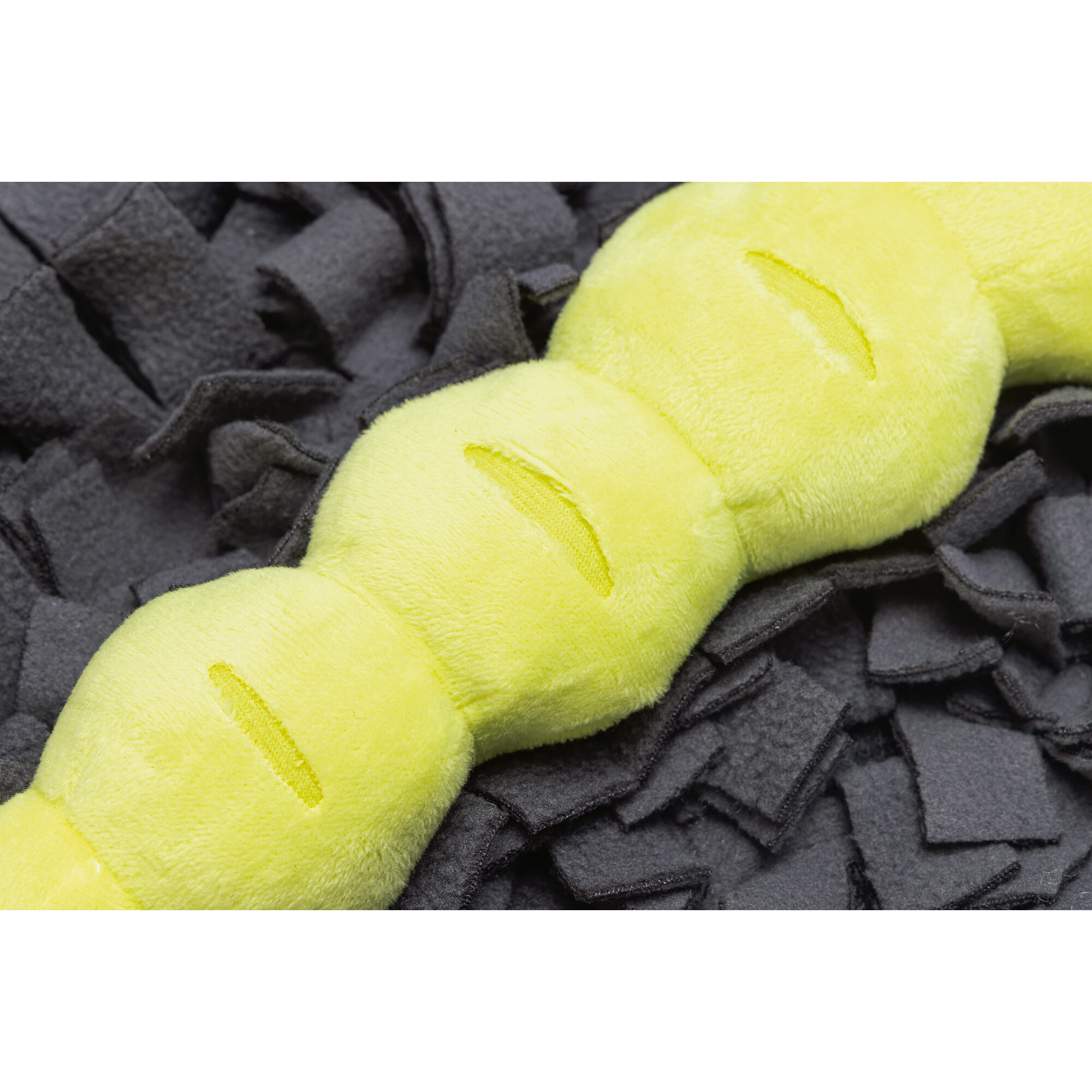 Beeztees Hide And Seek Butterfly