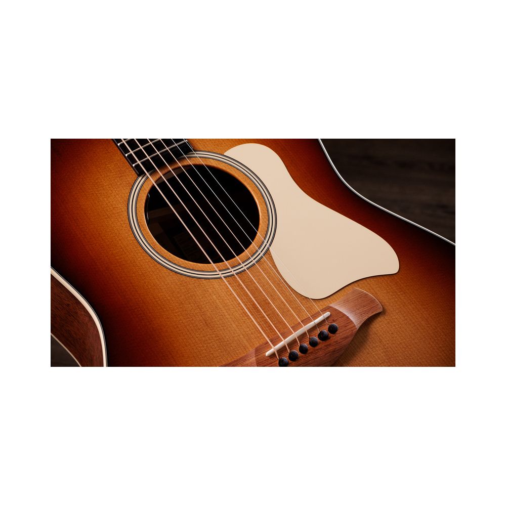 Taylor Gold Label 517e SB Cream – Thomann Ireland