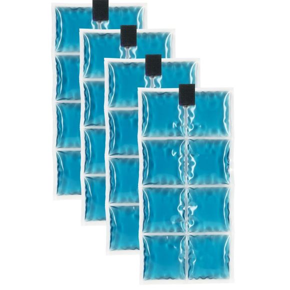 Refreshing insert Inuteq PCM 15 ° C x 4 - BlueRef: INU0012 / 31104-00-111