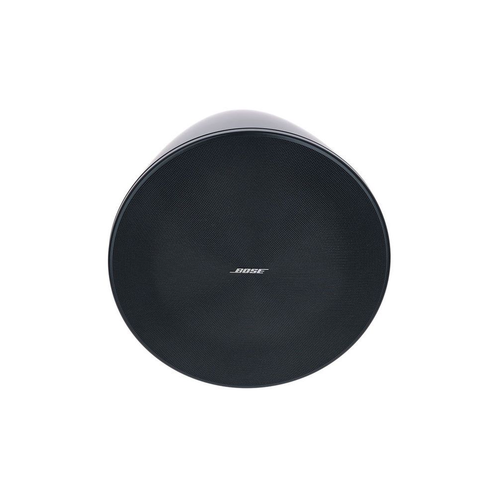 Bose Professional DesignMax DM10P