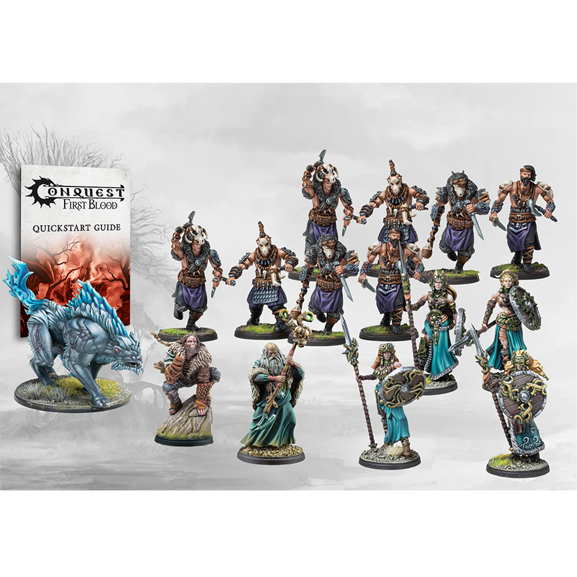 Nords: First Blood Warband