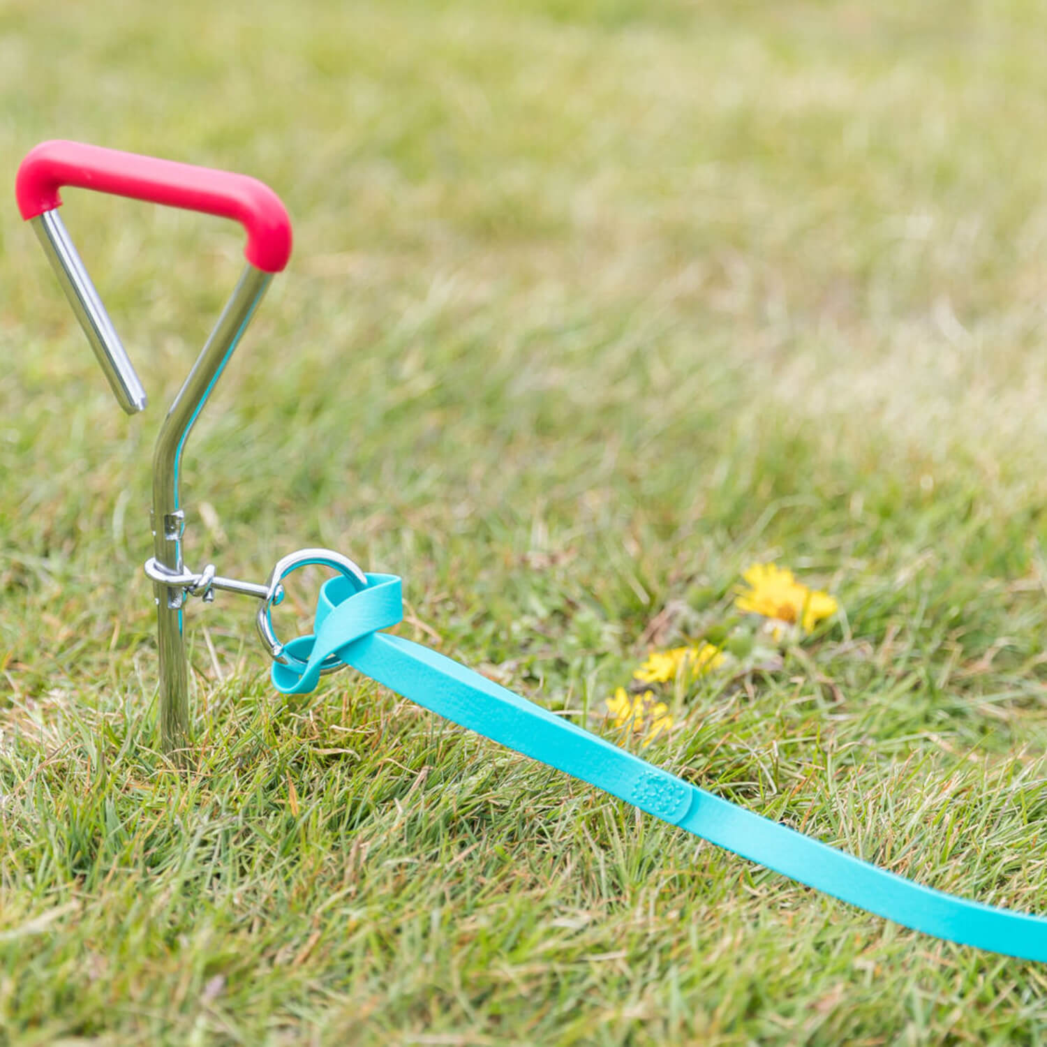 Trixie Tie Out Stake - 1 piecer