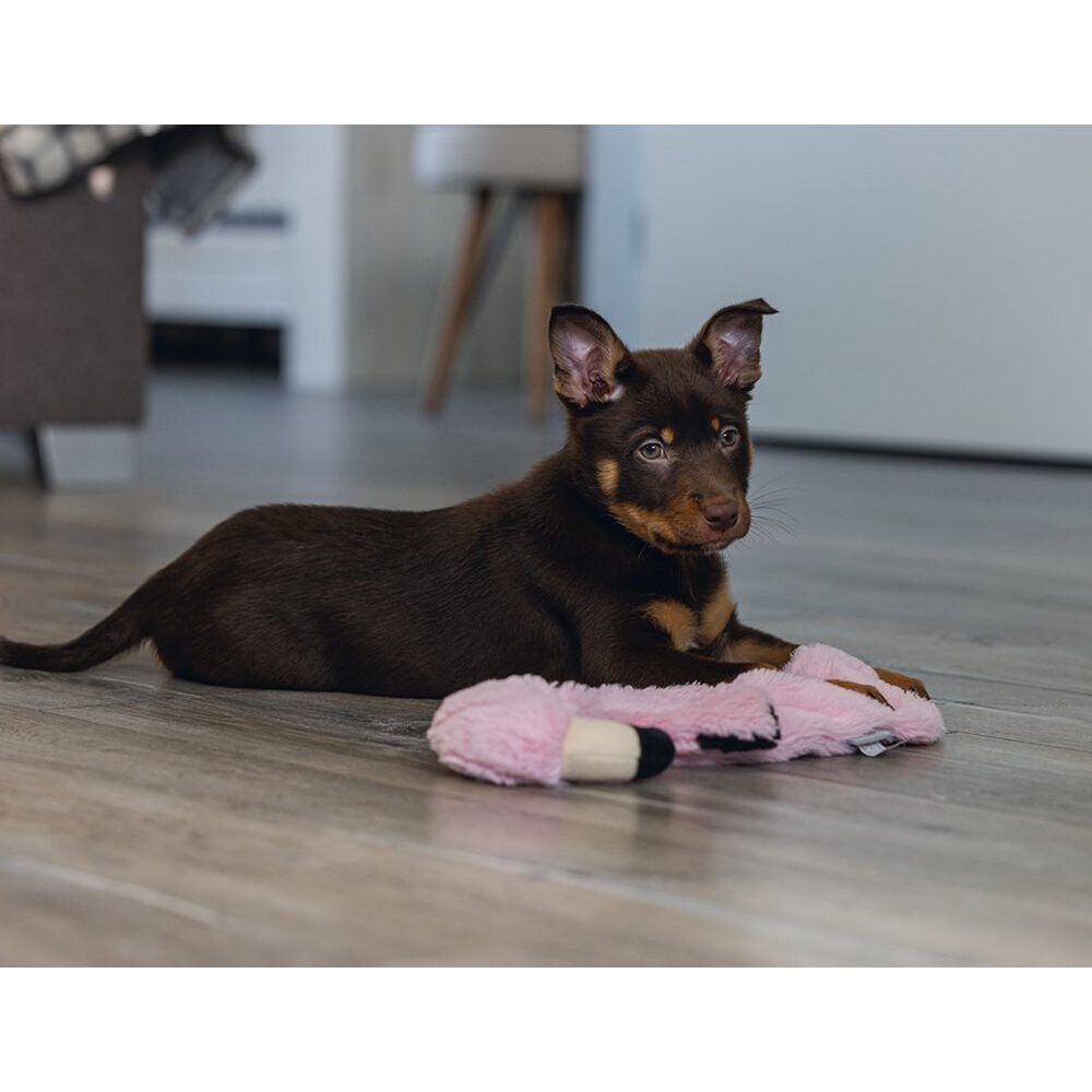 Beeztees Puppy Flatino Flamingo Fe - 72 × 27 × 5 cm