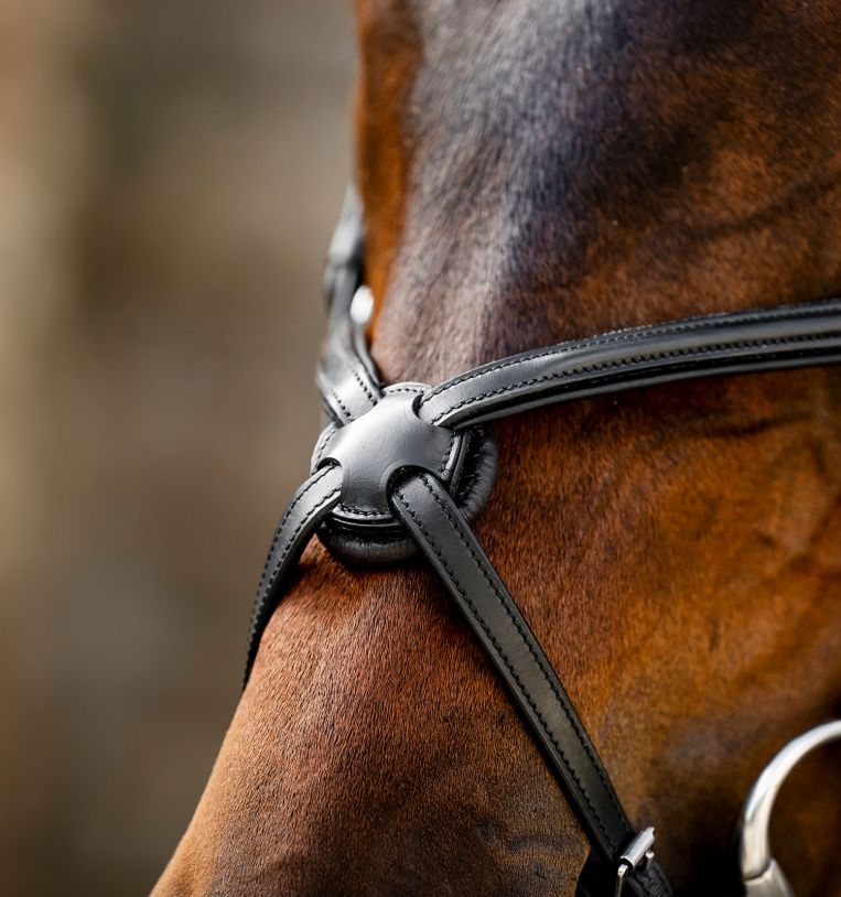 Horseware® Figure 8 Grackle Bridle