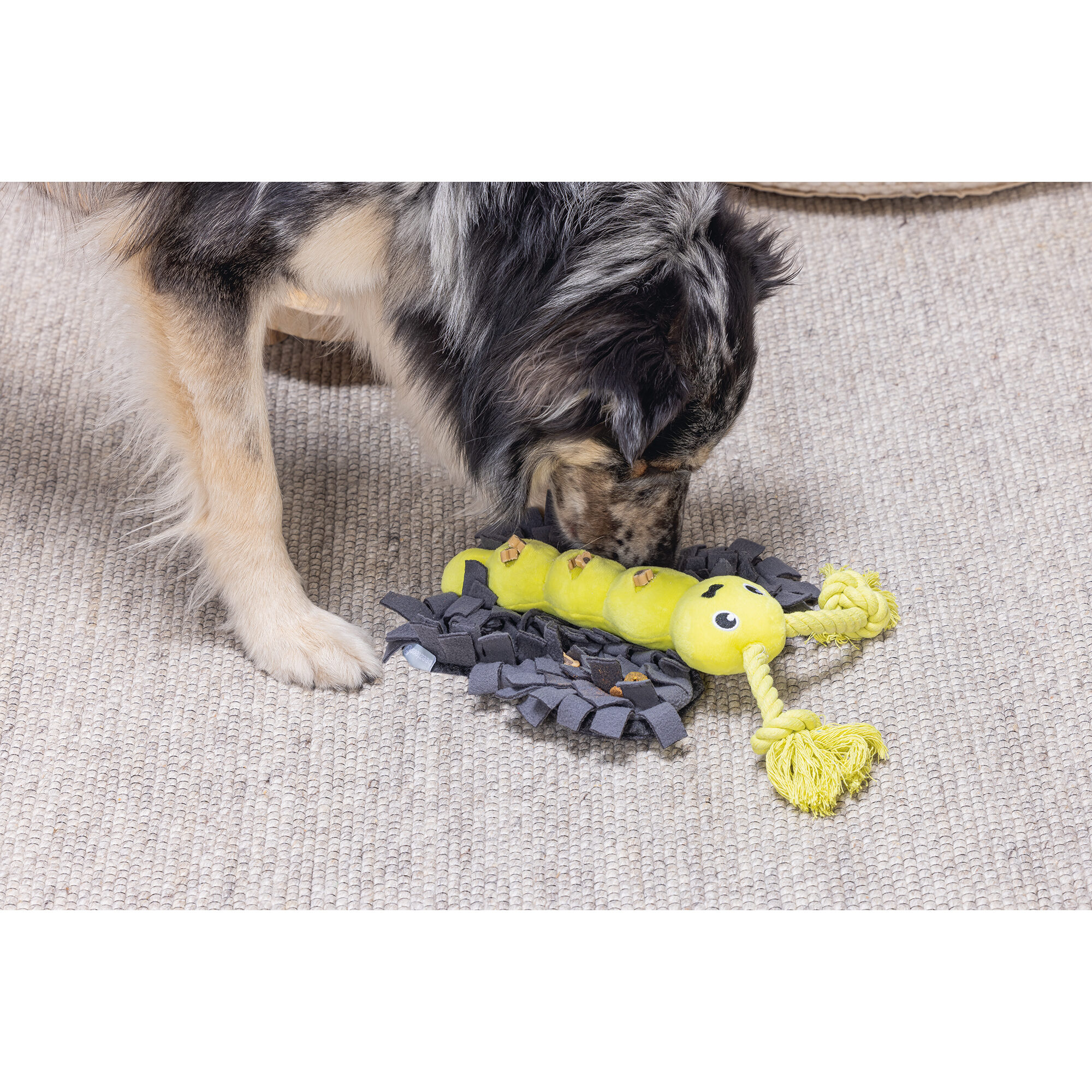 Beeztees Hide And Seek Butterfly