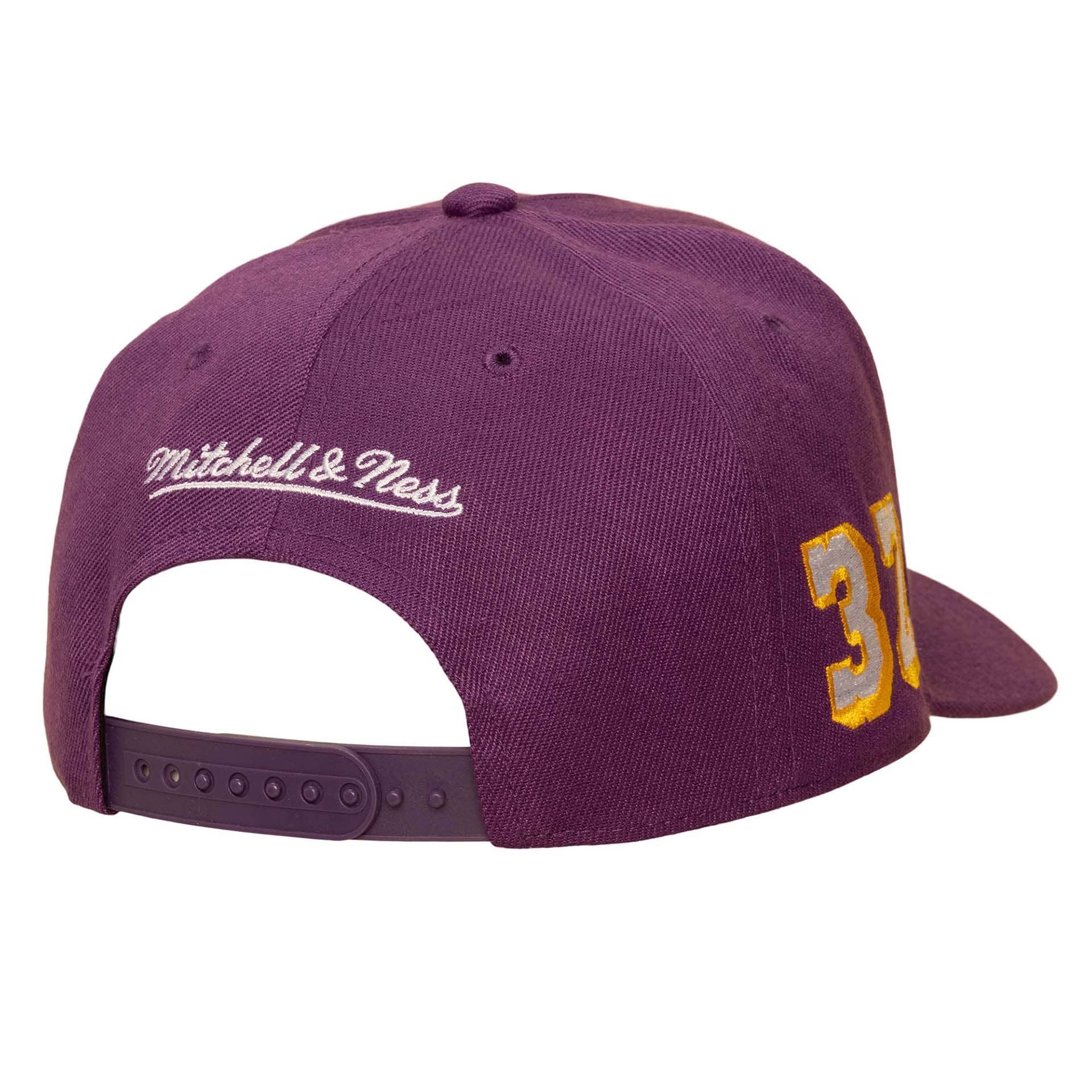 Magic Johnson Los Angeles Lakers Pro Pinch Snapback NBA Cap Purple