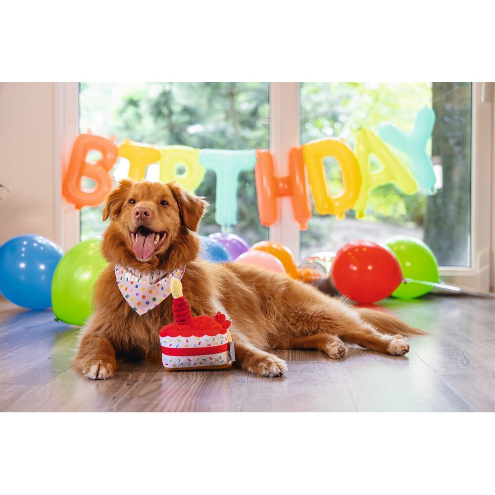 Beeztees Plush Party Cake