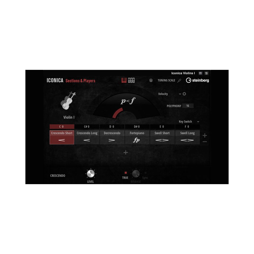 Steinberg Iconica Opus – Thomann Ireland