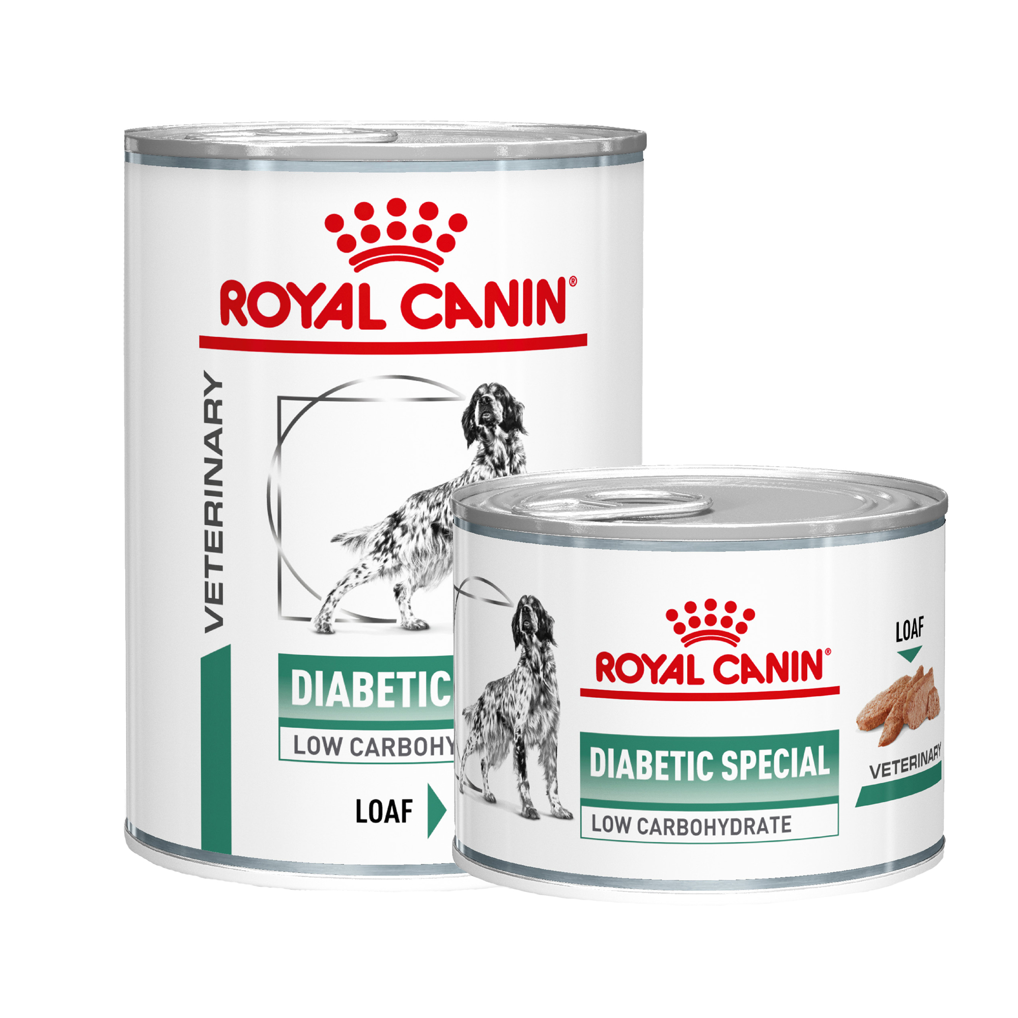 Royal Canin Diabetic Special Low Carbohydrate Dog - 12 x 410g Tins