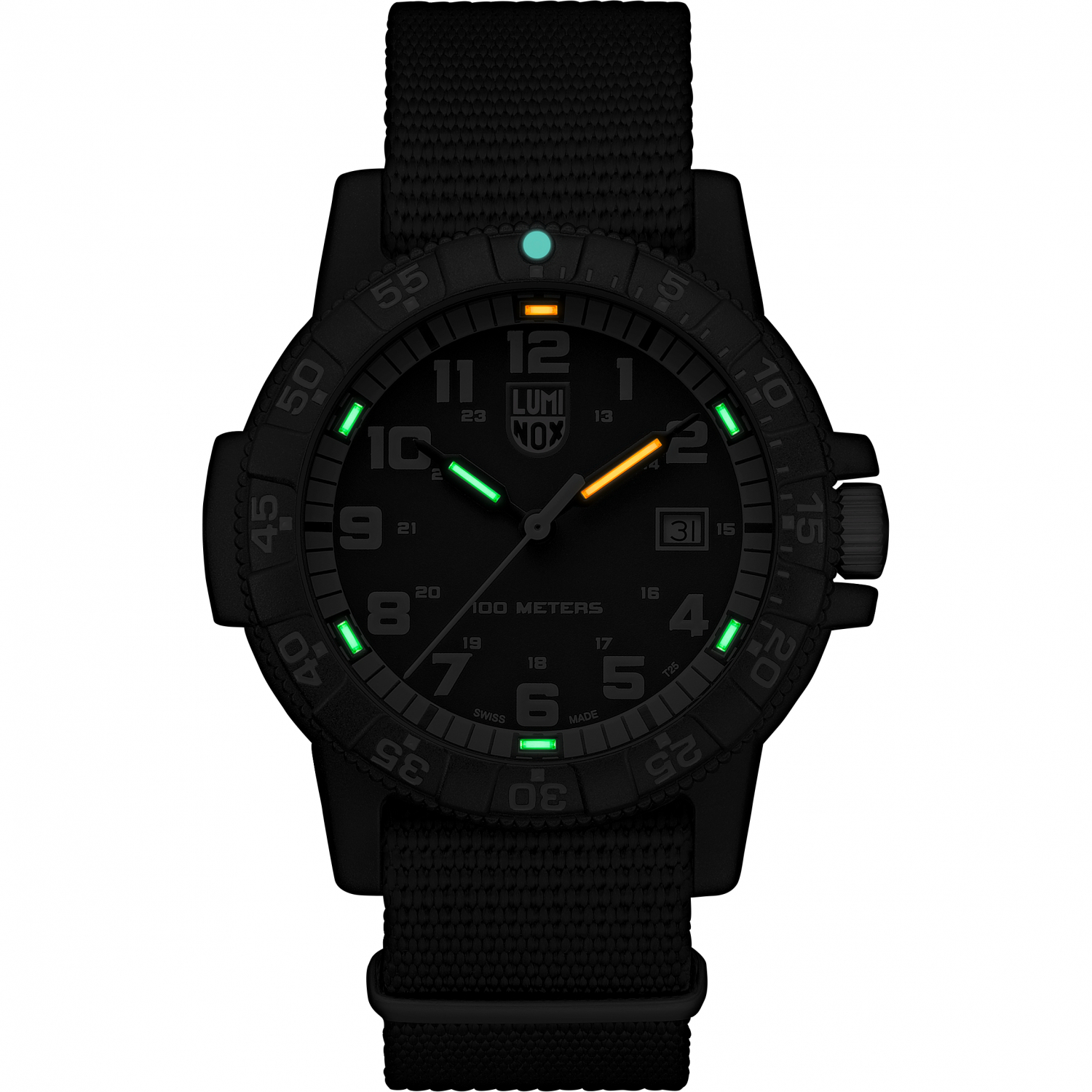 Luminox Wristwatch Leatherback SEA Turtle Giant (0333)