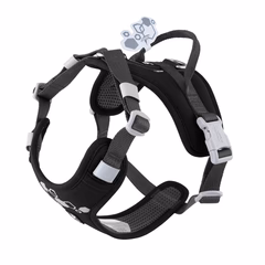 Weekend Warrior Harness II ECO