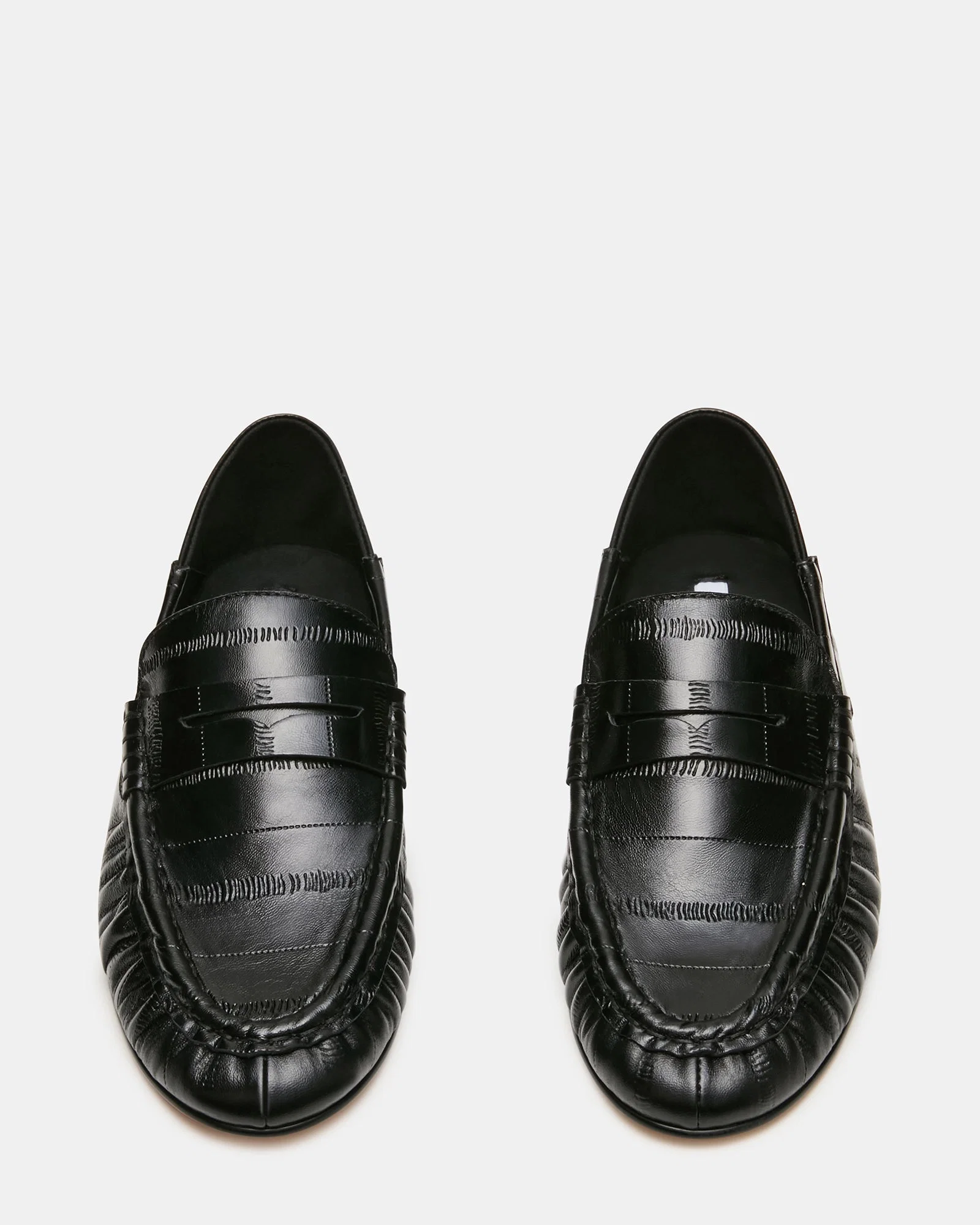 Roger Black Eel