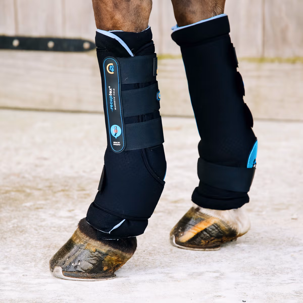 Magnetic Stable Boots Recuptex
