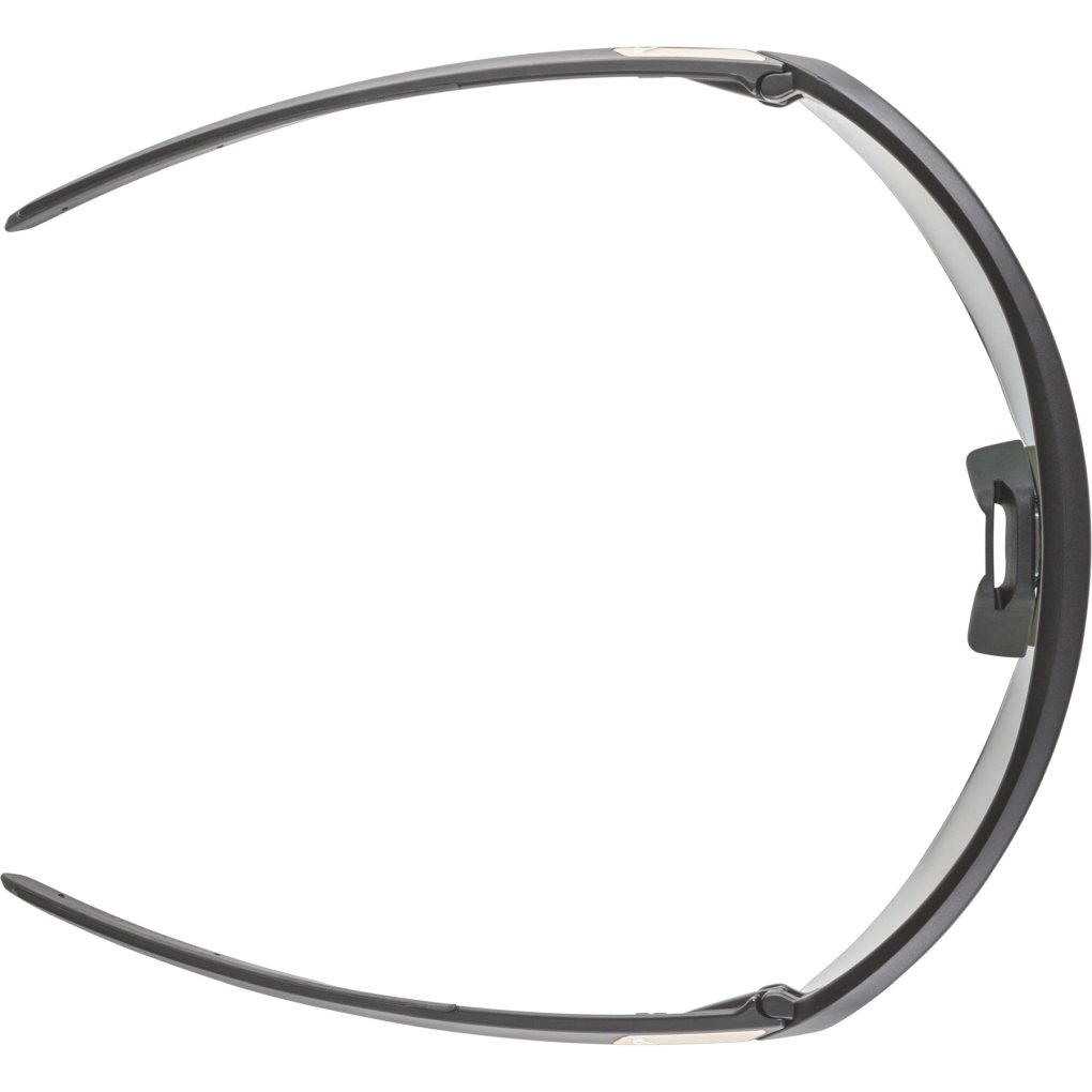 Alpina Turbo Pro QV Glasses - black matt/rainbow mirror