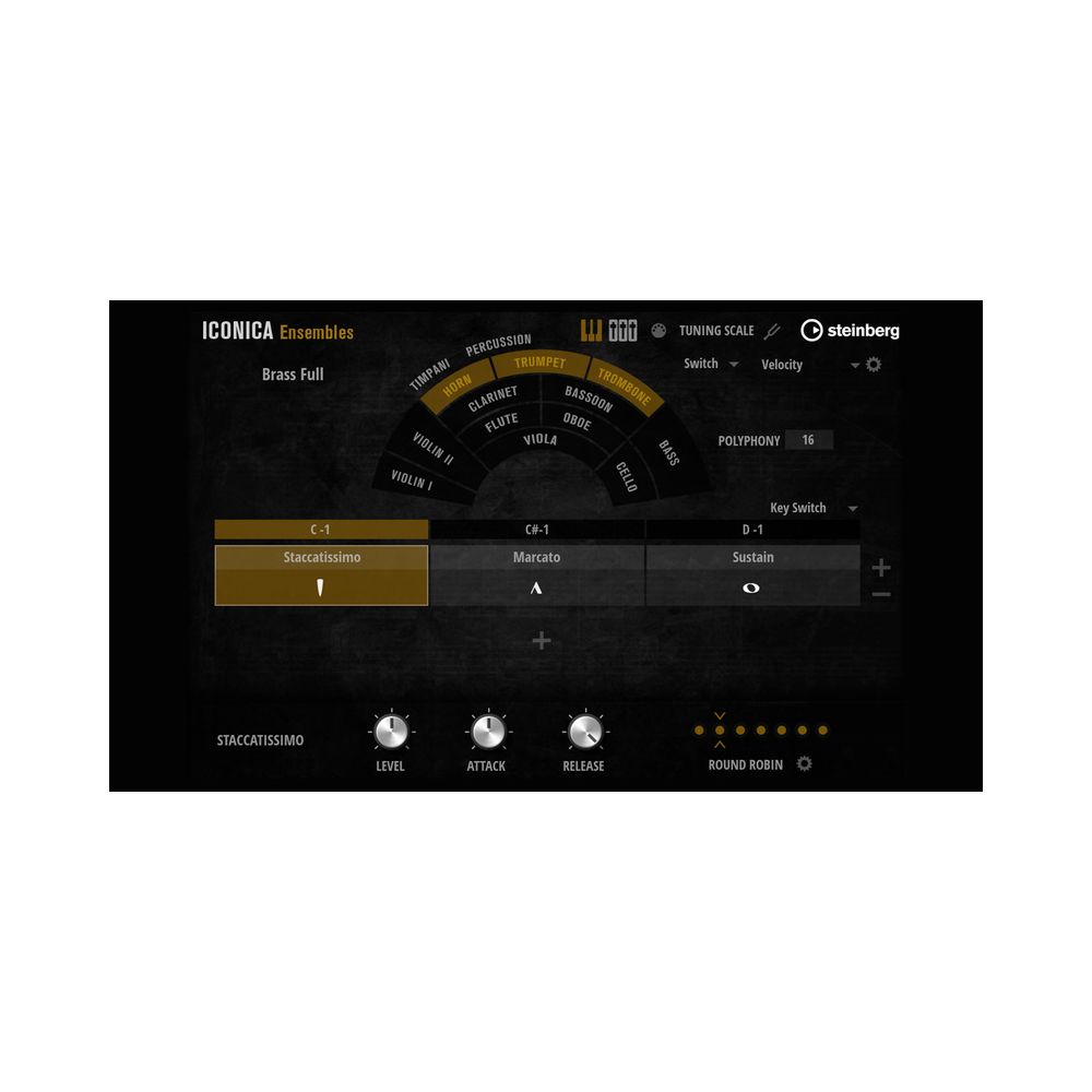 Steinberg Iconica Ensembles – Thomann Ireland