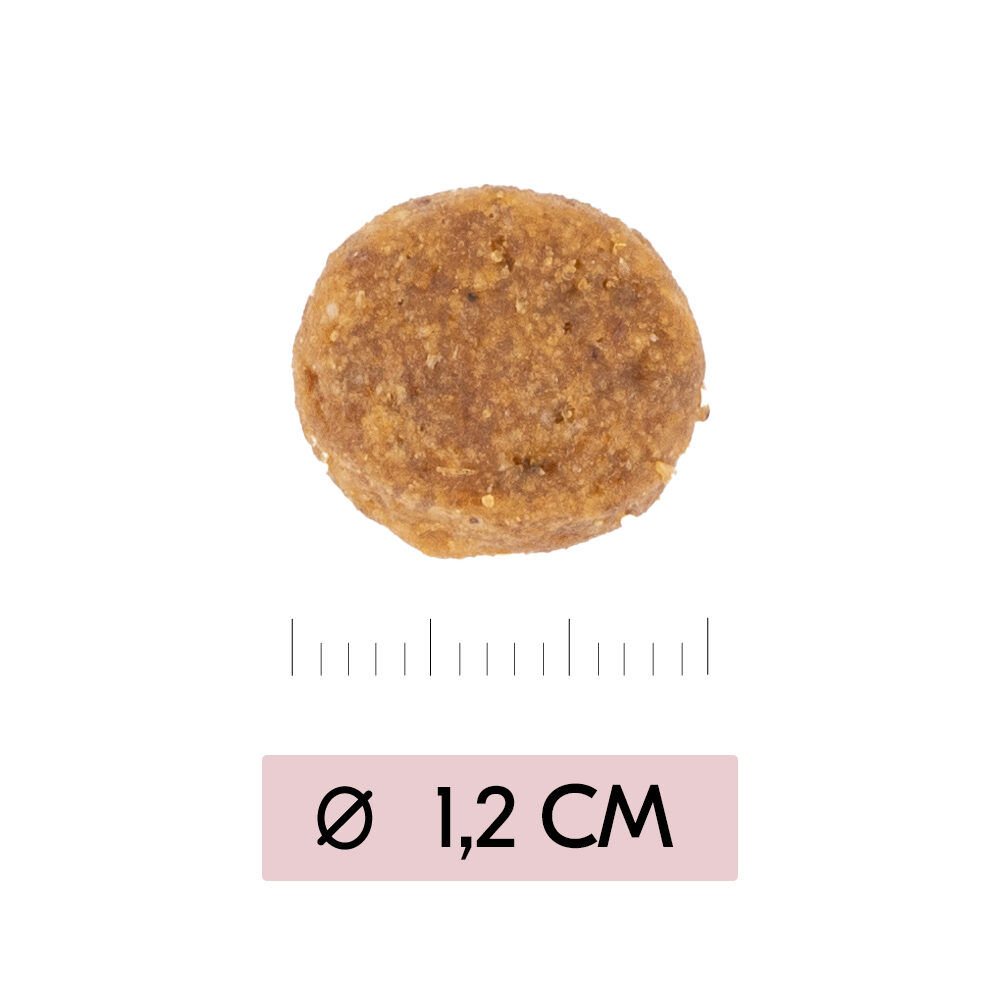 Vetality Puppy Maxi - 3 kg