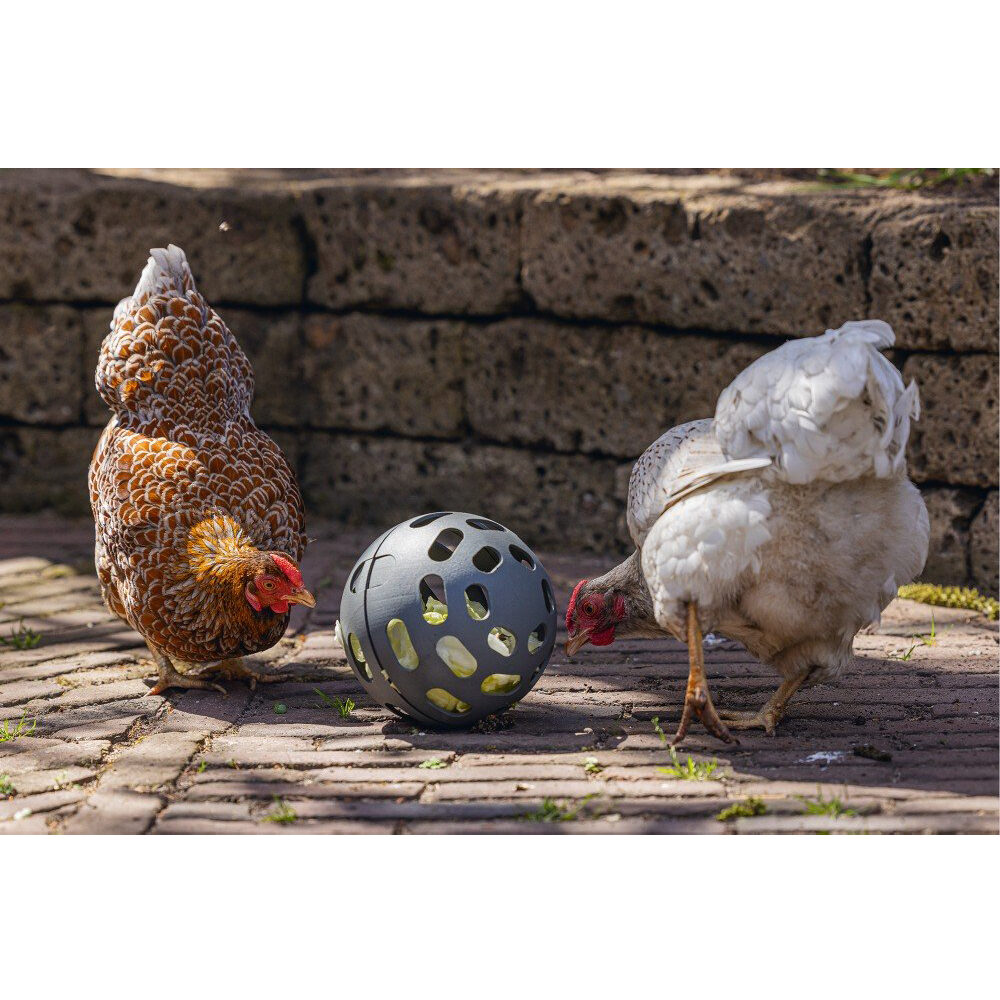Beeztees Chicken Snack Ball - 15 cm