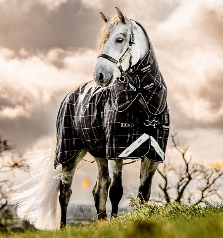 Rhino® Bundle Pony Turnout (0g Outer with 200g Liner)