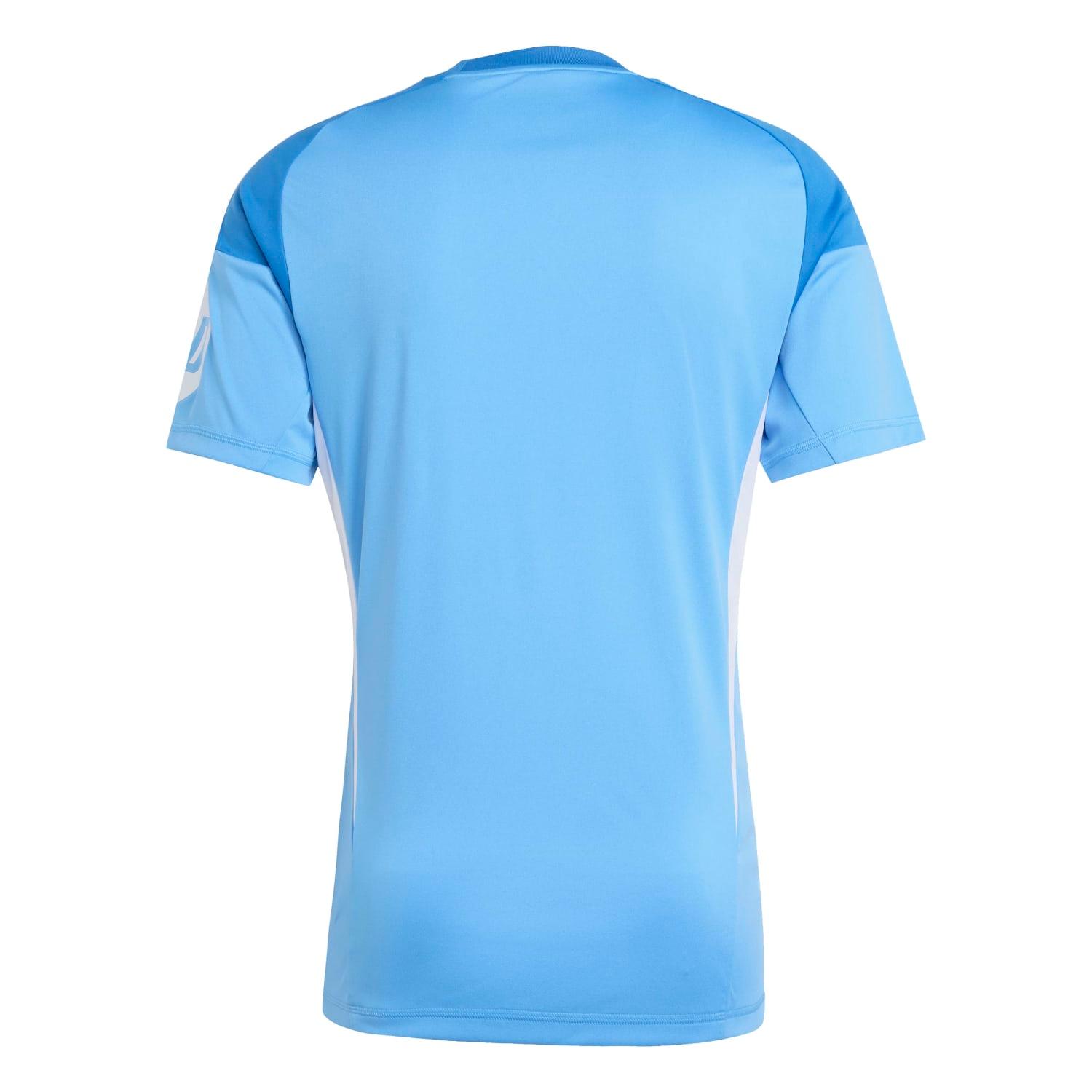 Mens Goalkeeper Shirt 25/26 Blue