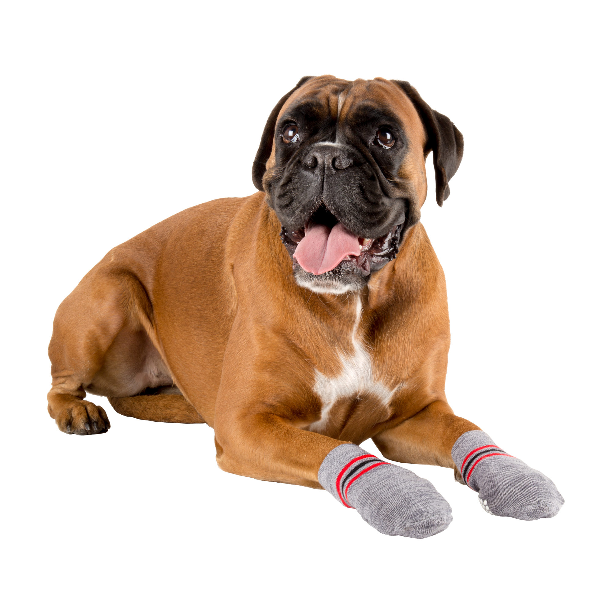 Trixie Dog Socks - XS/S