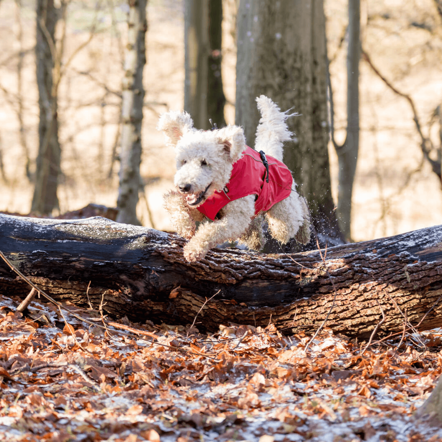 Trixie Raincoat Vimy - M -45 cm - Red