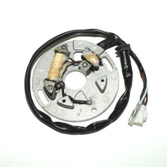 Stator d'allumage Electrosport Ref : ELS00180A / 1077969