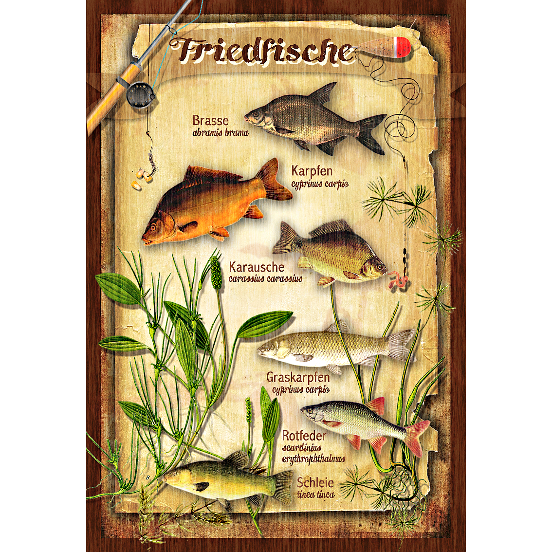Metal Plate (Coarse Fish)