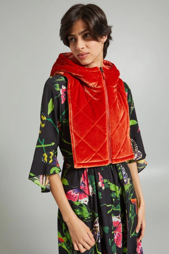 Padded velvet collar - ORANGE LOBSTER