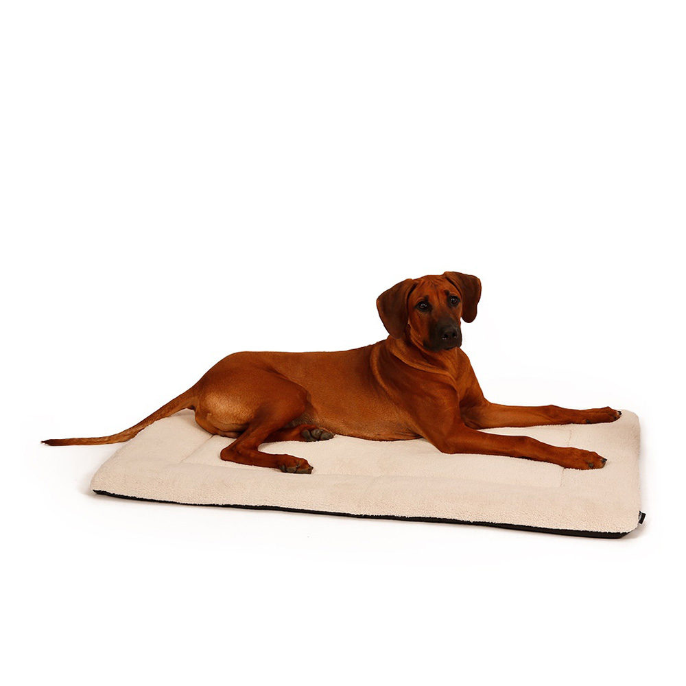 51 Degrees North Sheep Bench Dog Cushion - Beige - Lr